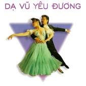 Da Vu Yeu Duong artwork