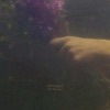 To the Sea - Single