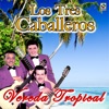 Vereda Tropical