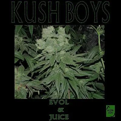 Kush Boys - Single - Evol