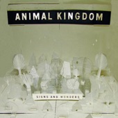 Animal Kingdom - Good Morning