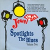Spotlights the Blues Volume 2