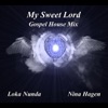 My Sweet Lord Gospel House Mix (feat. Nina Hagen) - Single