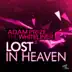 Lost in Heaven (Remixes) album cover