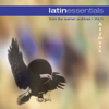 Latin Essentials, Vol 11: Azymuth - Azymuth
