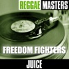 Reggae Masters: Freedom Fighters