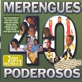 40 Merengues Poderosos, 2008