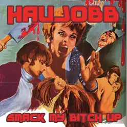 Smack My Bitch Up - Haujobb