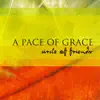 A Pace of Grace album lyrics, reviews, download