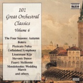 101 Great Orchestral Classics, Vol. 6 artwork