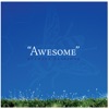 Awesome - Ones & Zeroes