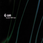 DJ Cam - Friends and Ennemies