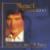 Historia de Amor - Exitos: Miguel Gallardo, 2002