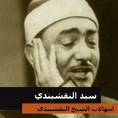 ابتهالات الشيخ النقشبندي artwork