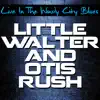 Stream & download Live In the Windy City Blues