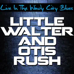Live In the Windy City Blues - Little Walter