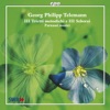 Parnassi Musici - Trietti methodichi e Scherzi: Scherzo No. 1 in A major, TWV 42:A1: I. Allegro