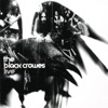 The Black Crowes: Live, 2002