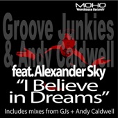 I Believe in Dreams (Groove Junkies MoHo Mix) artwork