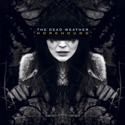 The Dead Weather - New Pony