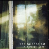 The Silence Kit - Am I Missing Something?