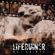 No Saints - Liferuiner