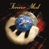 Forever Mod: A Tribute to Rod Stewart