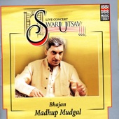 Live Concert Swarutsav 2000 artwork