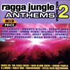 Ragga Jungle Anthems, Vol. Two