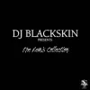 Remix Collection 2010 (DJ Blackskin Presents) album lyrics, reviews, download