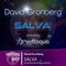 Salva - David Gronberg lyrics