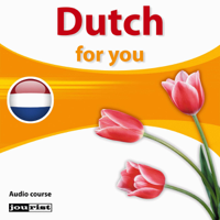 Div. - Dutch For You artwork