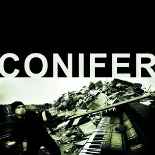 last ned album Conifer - Conifer