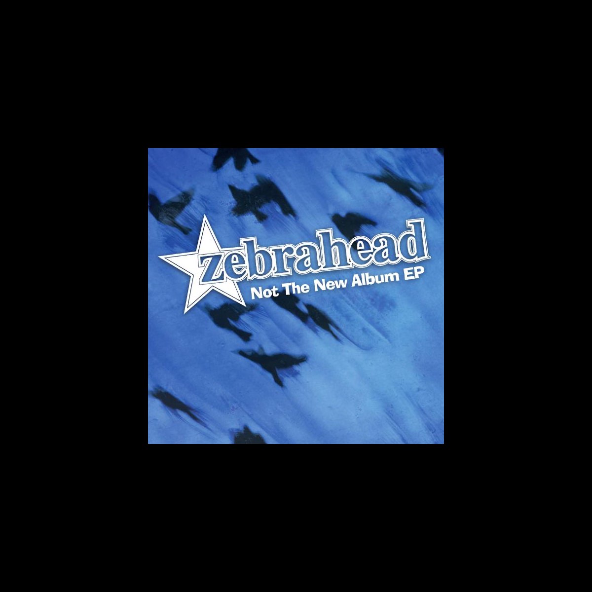 ‎Not the New Album - EP by Zebrahead on Apple Music