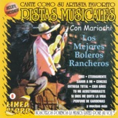 Los Mejores Boleros Rancheros - Con Mariachi (Pistas Musicales) artwork