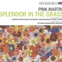 Splendor In the Grass - Pink Martini