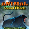 Hollywood Studio Sound Effects - Tiger Sound Effects
