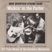 Iron Mountain String Band - Down In the Willow Garden (Rose Connolly)