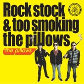 Rock stock & too smoking the pillows artwork