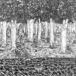 Through The Trees - Family Of The Year