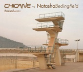 Chicane - Bruised Water