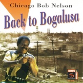 Chicago Bob Nelson - Leave the Young Girls Alone