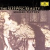 Tchaikovsky: The Sleeping Beauty Op. 66, 1999