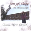 Son of Mary - The Christmas Gift