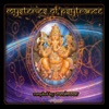 Mysteries of Psytrance, 2011