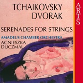 Serenade for Strings Op. 22 In e Major: III. Scherzo. Vivace (Dvorák) artwork
