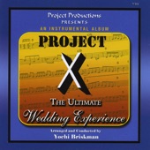 Project X - The Ultimate Wedding Experience artwork