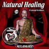 Natural Healing Volume 1, 2008