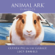 Lucy Daniels - Animal Ark: Guinea-Pig in the Garage