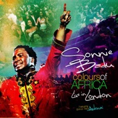 Colours of Africa: Live in London artwork